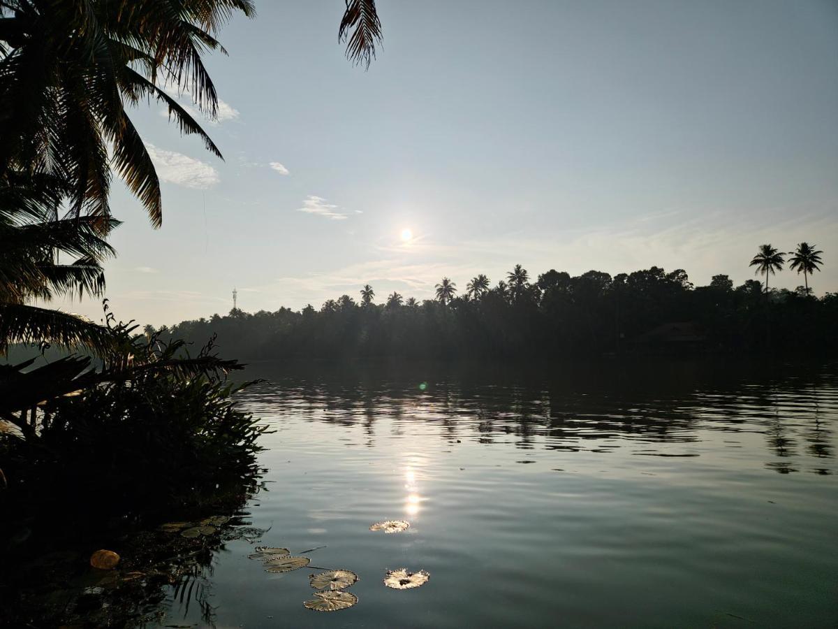 Islandstay-A Riverside Property Kollam Eksteriør billede