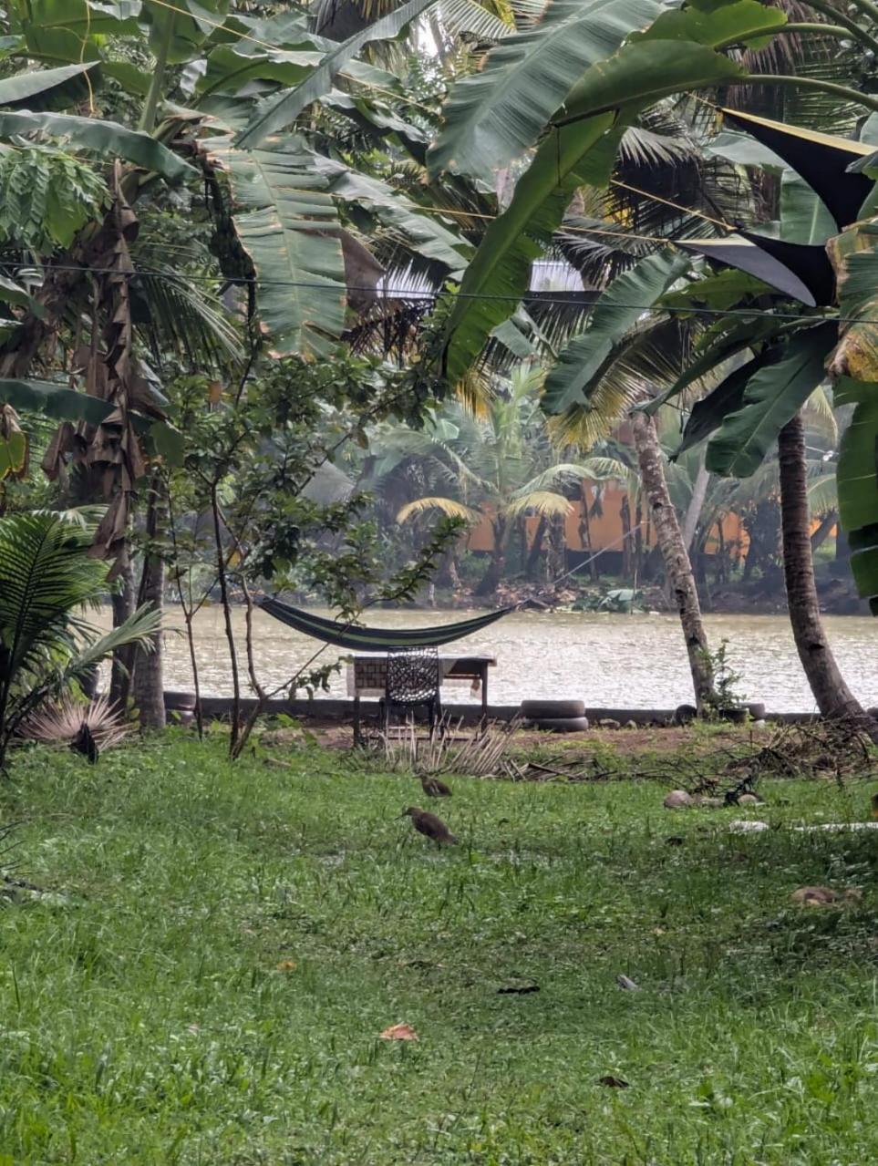 Islandstay-A Riverside Property Kollam Eksteriør billede